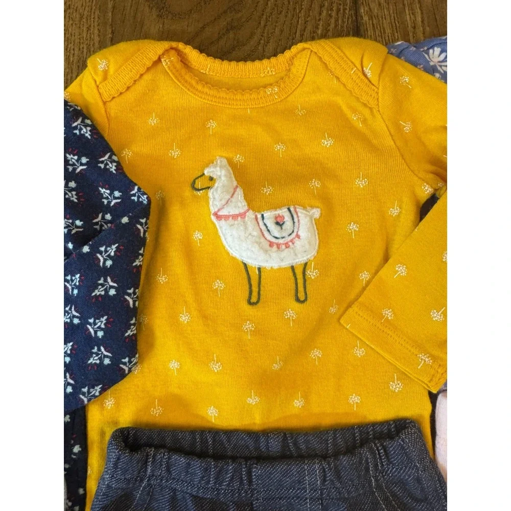 Baby Girl 3 Months‎ Outfits Leggings Pants Shirts Long Sleeve Clothes Lot Llama